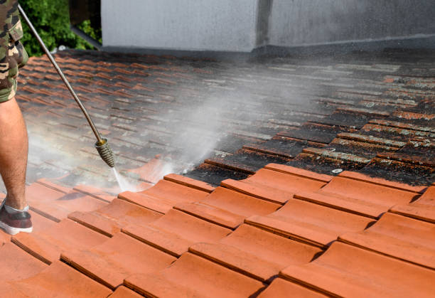 Best House Pressure Washing  in Robertsville, NJ